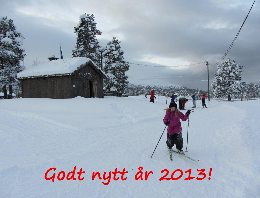 Godt nytt år 2013!